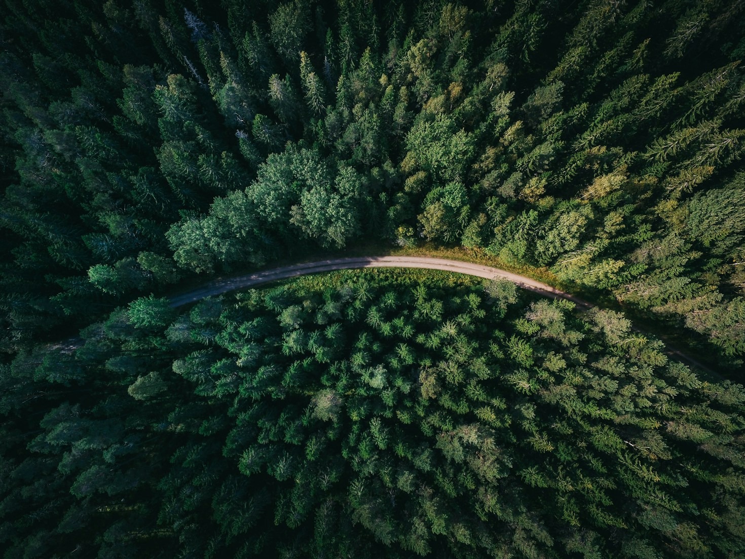 Progetti in corso: innovazione per la natura